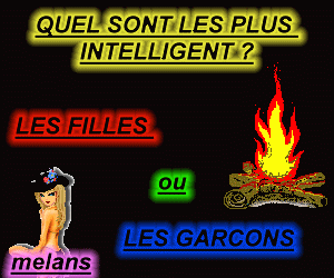 quel sont les plus intelligent